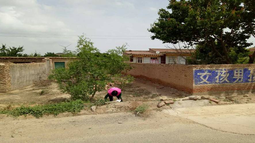 图片21.jpg 图片21.jpg