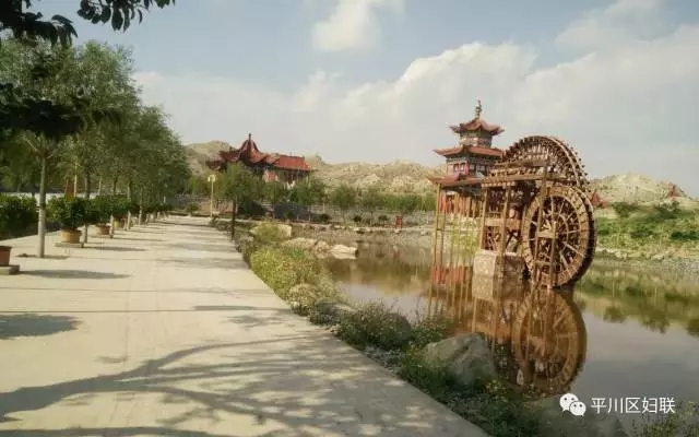 1.webp (1).jpg 1.webp (1).jpg