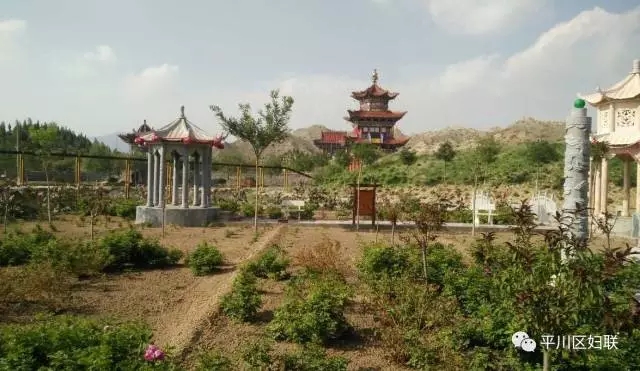 7.webp.jpg 7.webp.jpg