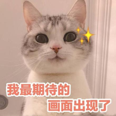40487408-f98c-4dd5-84c6-3882236ffd8f.png